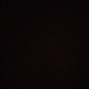 Meet your Posher, Darius